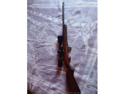 Carabina calibre 22 con visor