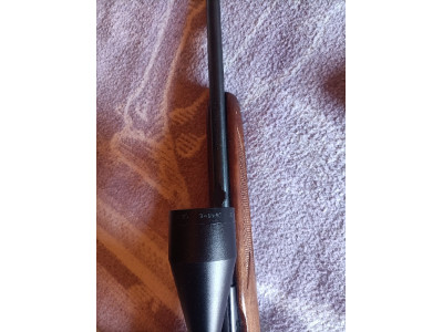 Rifle calibre .22 con mira 3-9×50