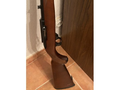 Ruger 22lr