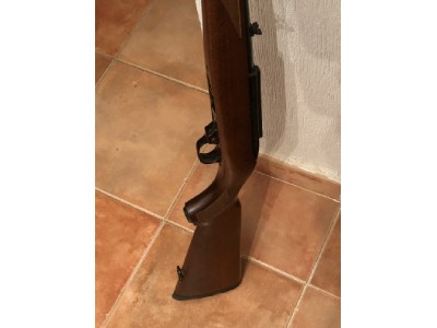 Carabina Ruger 22lr