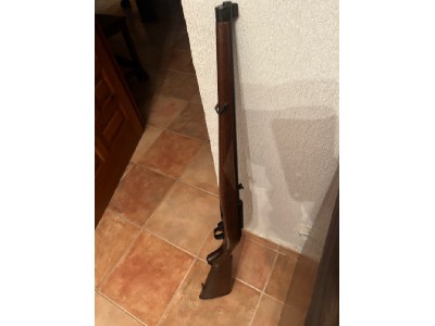 Carabina Ruger 22lr