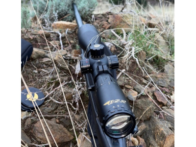 Marlin 22-250