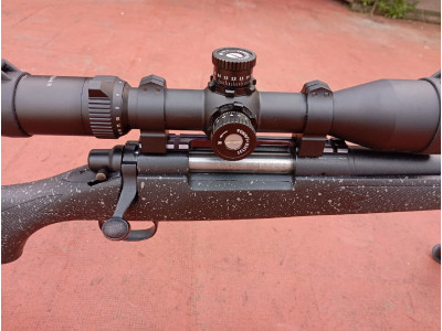Remington 700