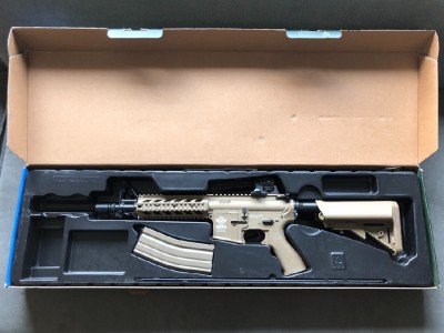CM16 Raider DST