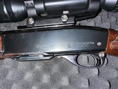 Remington 742 con visor térmico