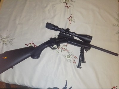 Crackshot 17HMR