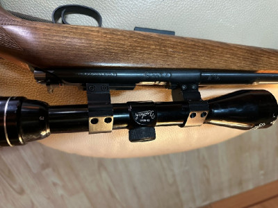 CZ 17 HMR