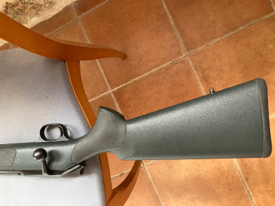 Blaser R93
