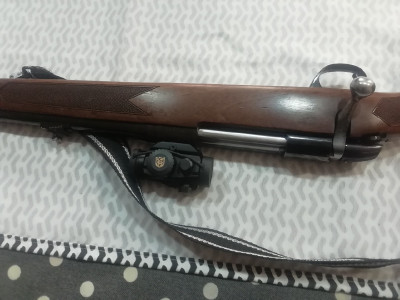 bsa magnum 7mm