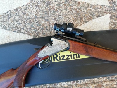 Rizzini + Visor Bushnell