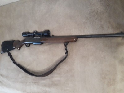 Browning FN + visor Bushnell 3-9 x40