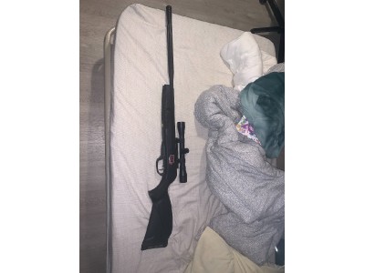 Gamo IGT Match 1