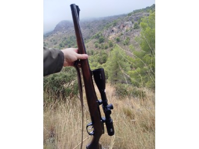 Rifle Steyr Mannlicher Stutzen Calibre 270 Win