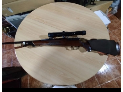 MAUSER 66 