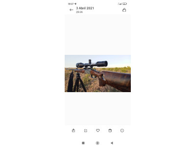 Blaser k95 Luxus