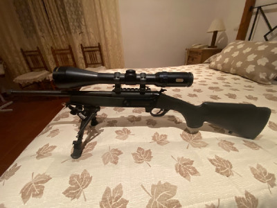 CrackShot .17 HMR