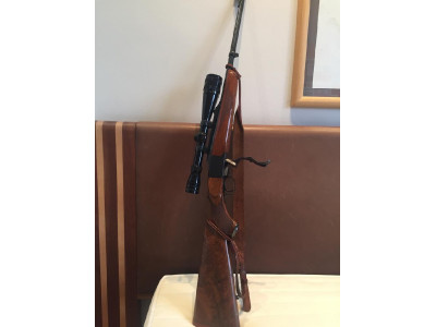 Ruger Nº 1