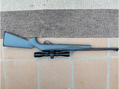 Remington 250