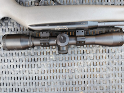 Remington 250