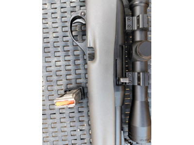 Remington 250