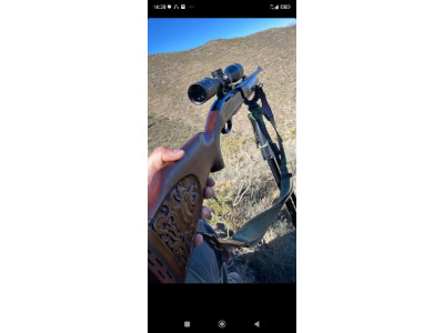 Remington 7400
