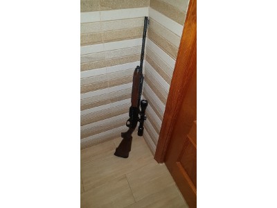 Remington 750 + visor Banner y monturas Apel