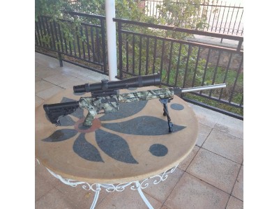 Remington AR25 con cañón Bergara