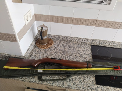 Ruger 44 mangum 