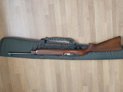 Ruger 44 mangum 