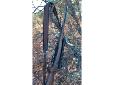 Sauer 100