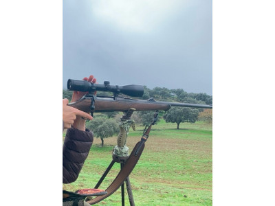 Sauer 100