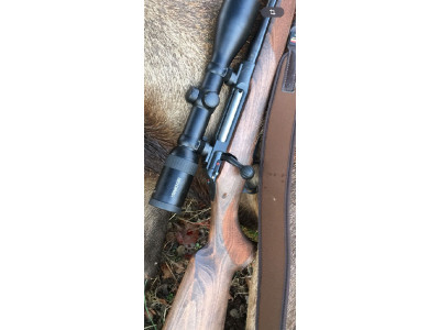 Sauer 100