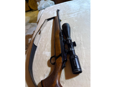 Sauer 303