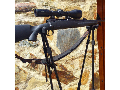 Savage Axis 30-06