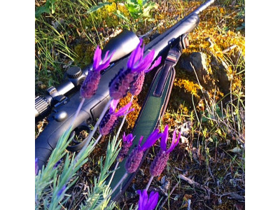 Savage Axis 30-06
