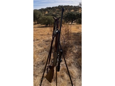 Rifle Semi Remington 7400 30-06