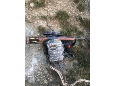 Browning Long Track 3006