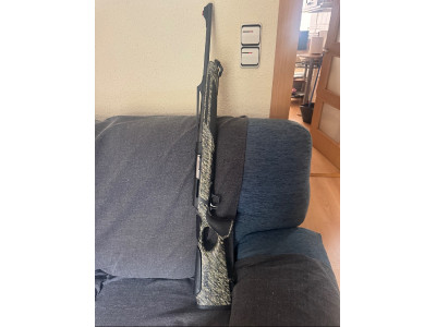 Sauer 303 