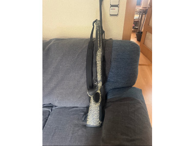 Sauer 303 