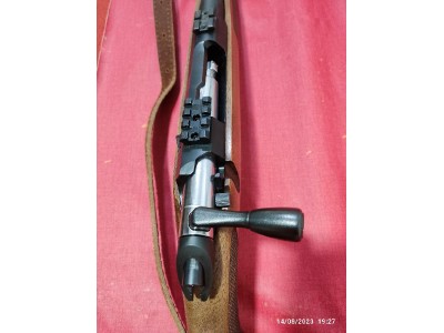 Rifle Sichiling 243W