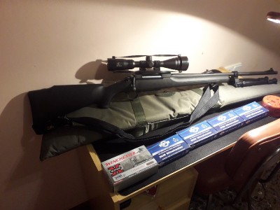 Sichling P 308