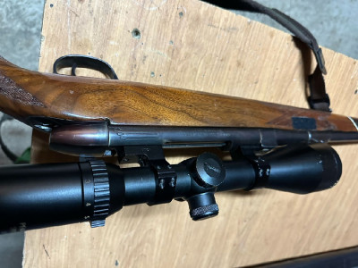 Suer Weatherby