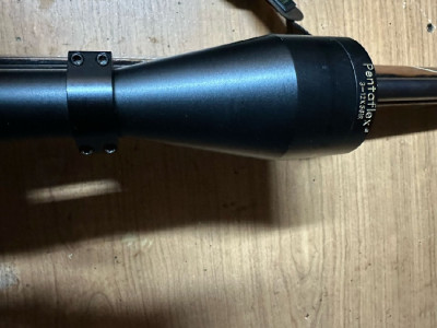 Suer Weatherby