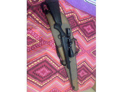 Rifle tikka t3 lite y steiner
