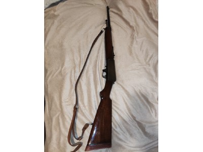 Winchester 1907