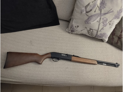 Rifle Winchester 22 LR Modelo 190