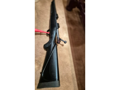 Winchester 70 de fibra 270wsm