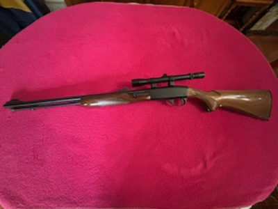 Remintong cal 22