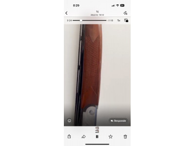 Rizzini modelo omnium