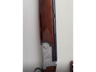 Rizzini modelo omnium